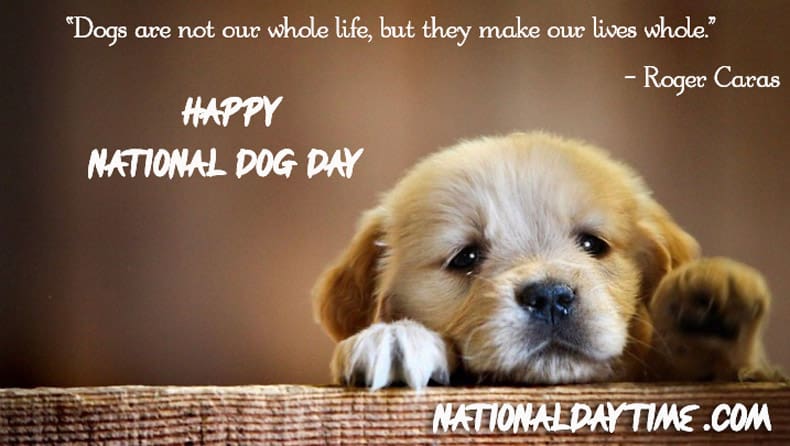 National Dog Day Quotes 2021