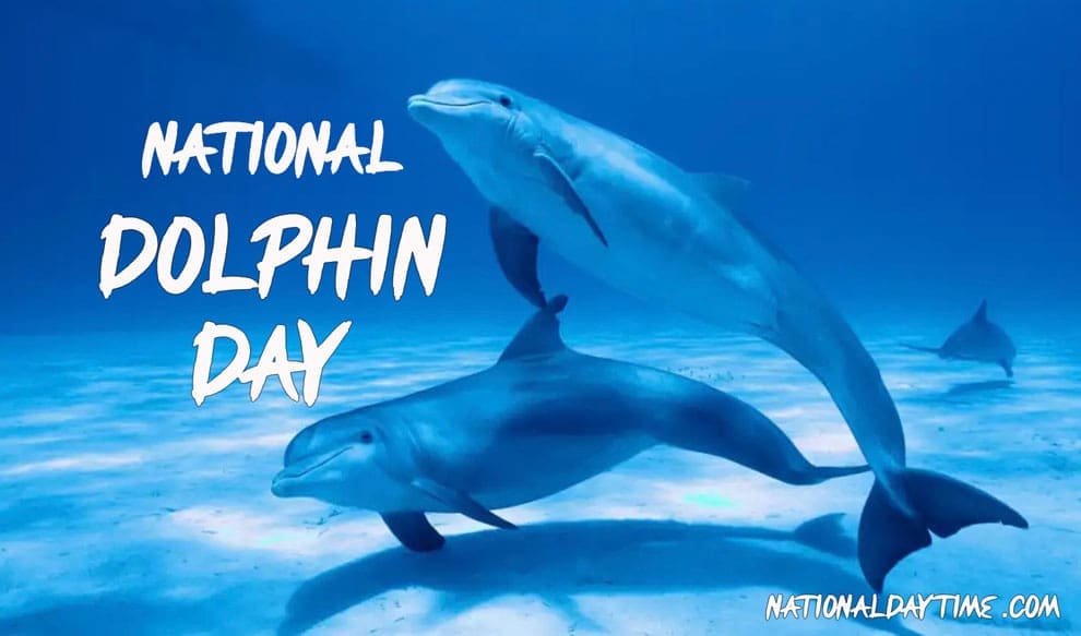 National Dolphin Day 2023