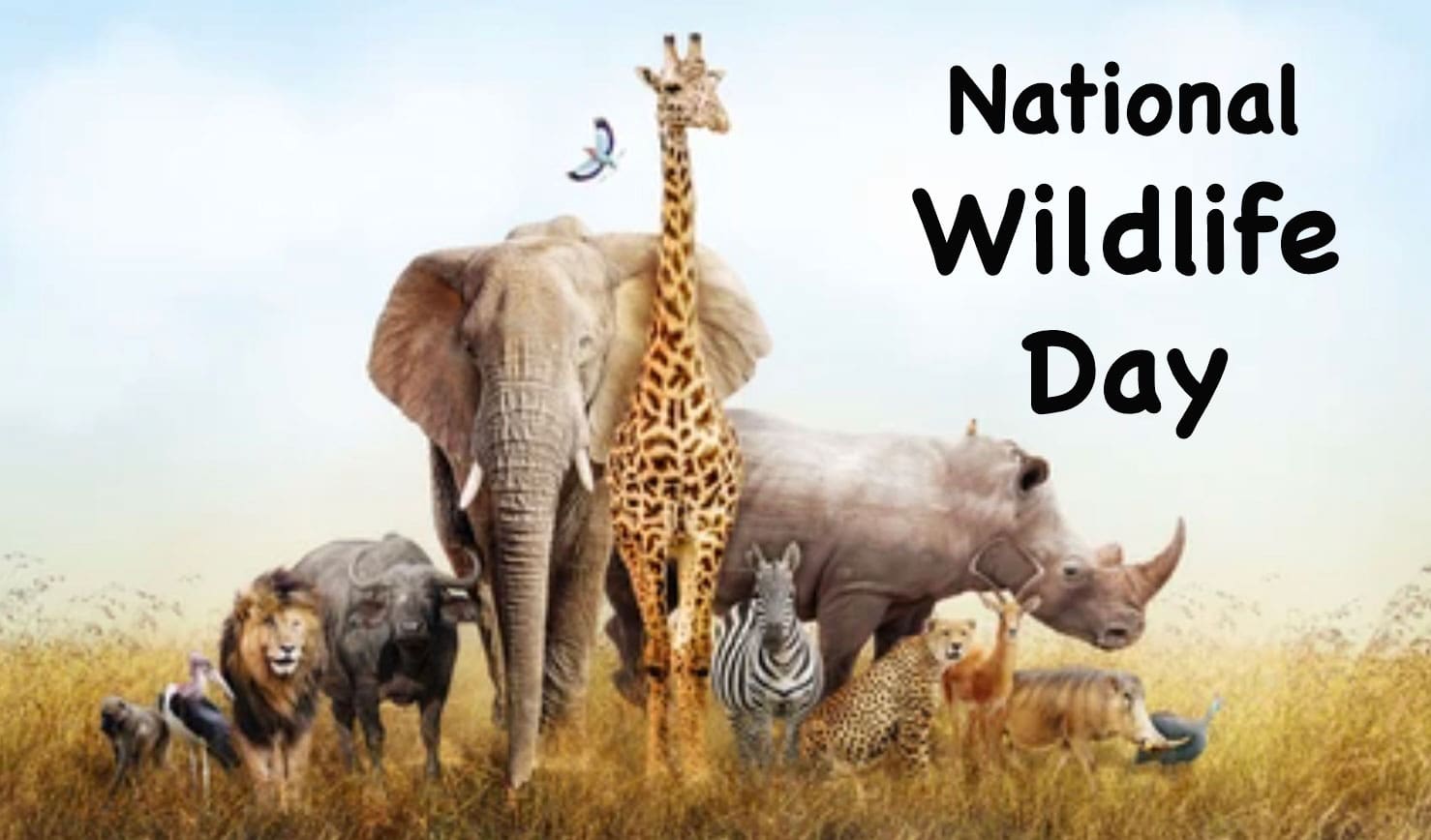National Wildlife Day 2023